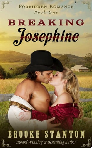 Cover of Breaking Josephine