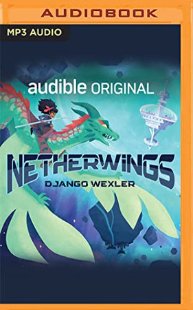 Cover of Netherwings