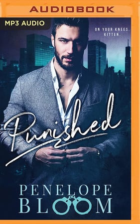 Cover of Punished
