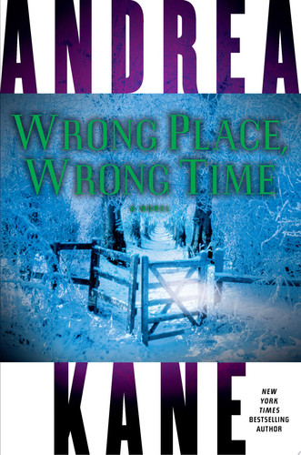 Cover of Wrong Place, Wrong Time