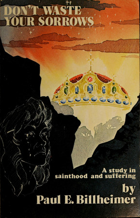 Cover of Don't Waste Your Sorrows