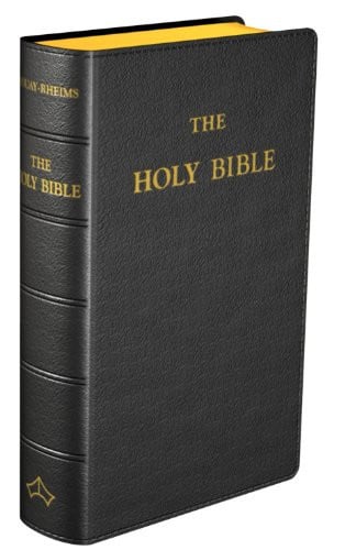 Cover of The Holy Bible Translated From the Latin Vulgate, Diligently Compared With the Hebrew, Greek and Other Editions in Divers Languages : The Old Testament First Published by the English College at Douay, A.D. 1609, and the New Testament First Published by the English College at Rheims, A.D. 1582 : With