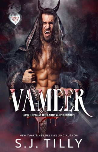 Cover of Book Two: Bonded Souls Book Two