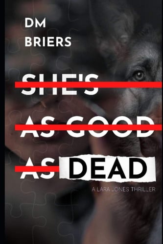 Cover of She's As Good As Dead