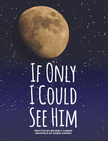 Cover of If Only I Could See Him