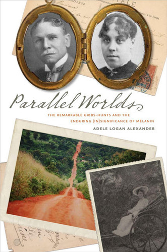 Cover of Parallel Worlds The Remarkable Gibbs-Hunt and the Enduring (in)Significance of Melanin