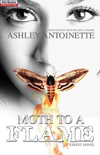 Cover of Moth to a Flame