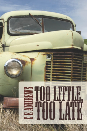 Cover of Too Little, Too Late