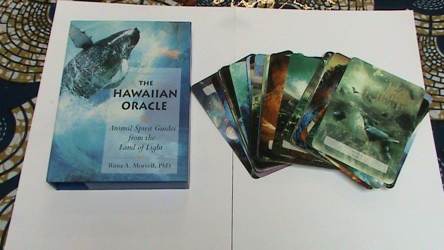 Cover of The Hawaiian oracle