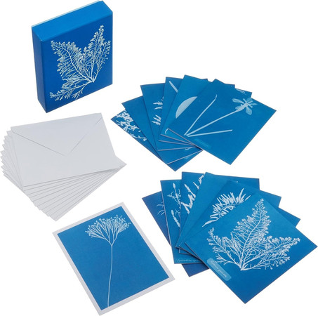 Cover of Sunprint Notecards - the Cyanotypes of Anna Atkins