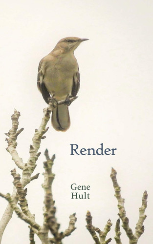 Cover of Render