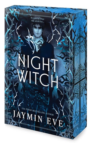Cover of Night Witch