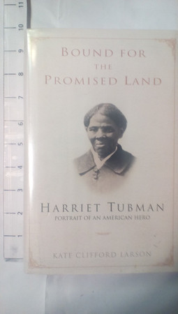 Cover of Bound for the Promised Land