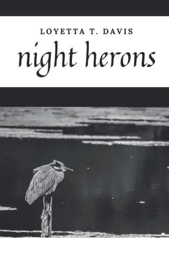 Cover of Night Herons