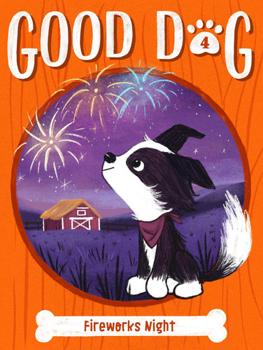 Cover of Fireworks Night