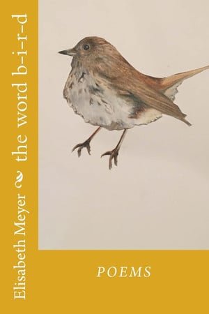 Cover of The Word B-I-R-D