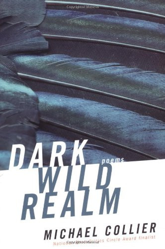 Cover of Dark Wild Realm