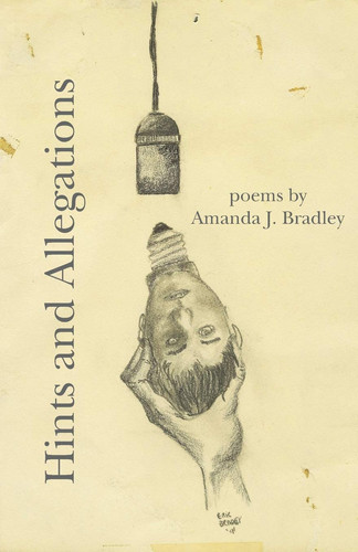 Cover of Hints and Allegations