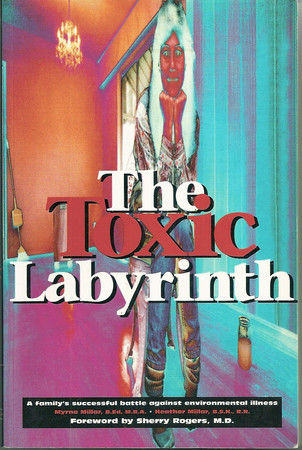 Cover of The Toxic Labyrinth