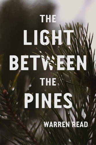 Cover of The Light Between the Pines