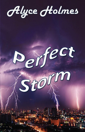 Cover of Perfect Storm