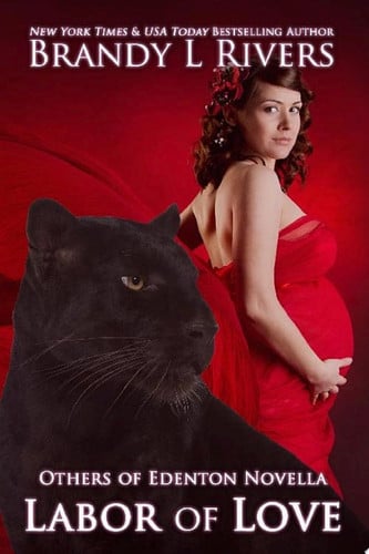 Cover of Labor of Love (Others of Edenton #5.5)