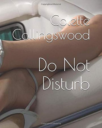 Cover of Do Not Disturb