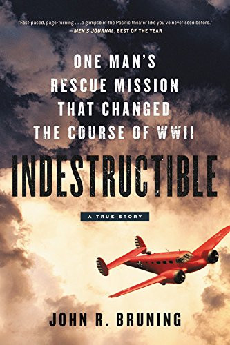 Cover of Indestructible