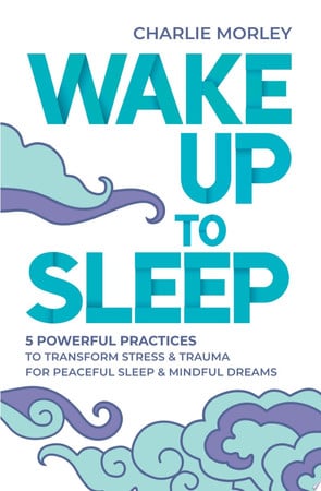 Cover of Wake Up to Sleep