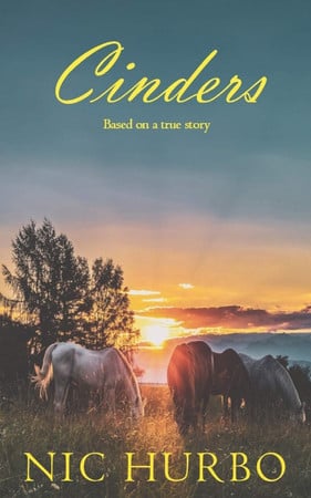 Cover of Cinders