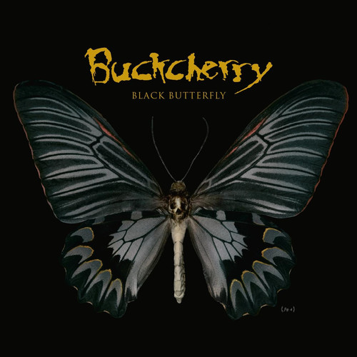 Cover of Black Butterfly
