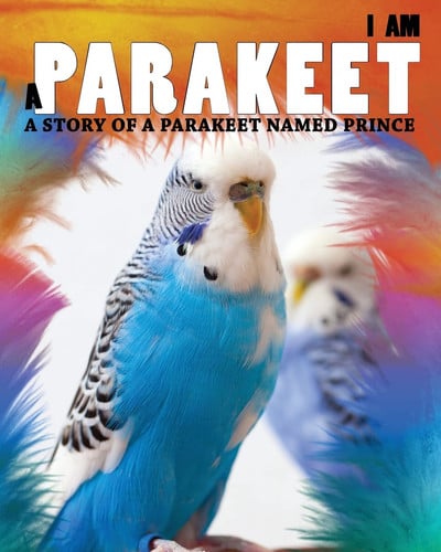 Cover of I Am a Parakeet