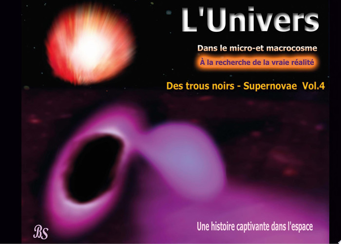 Cover of Des Trous Noirs