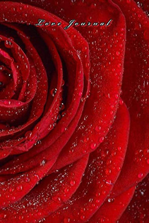Cover of Love (Red Rose Journal)