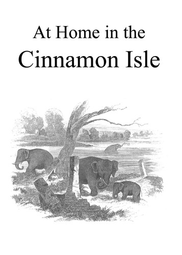 Cover of At Home in the Cinnamon Isle
