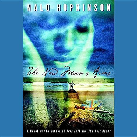 Cover of The New Moon's Arms