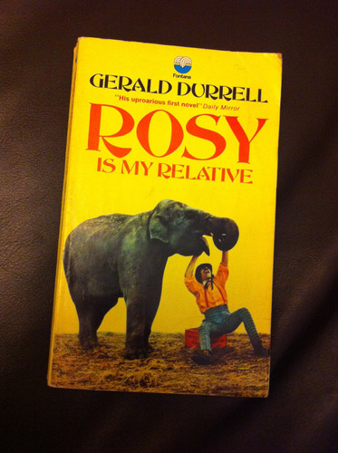 Cover of Rosy is My Relative