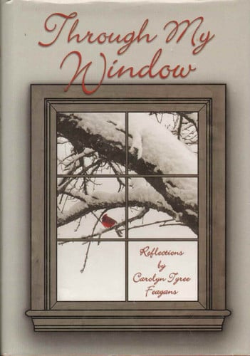 Cover of Through My Window