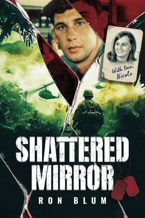 Cover of Shattered Mirror