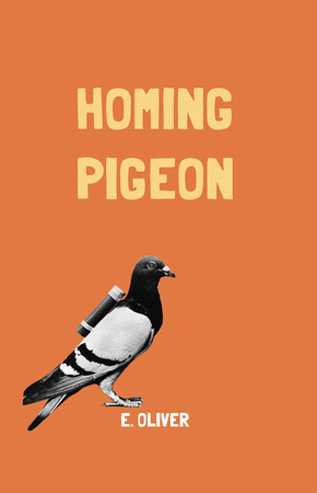 Cover of Homming Pigeon