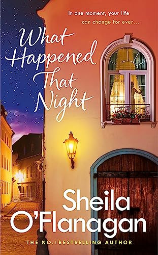 Cover of What Happened That Night