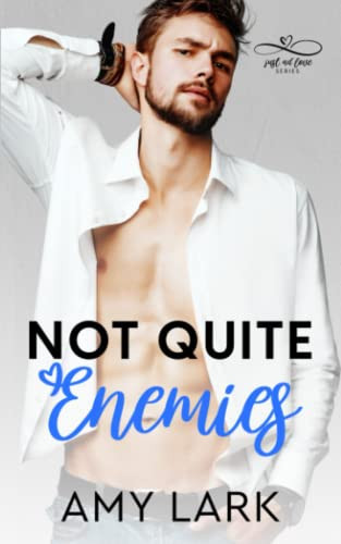 Cover of Not Quite Enemies