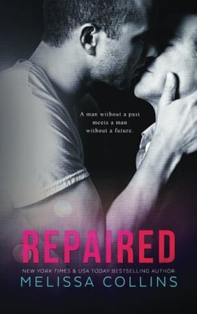 Cover of Repaired