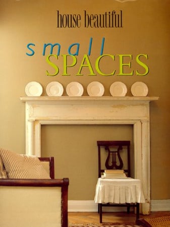 Cover of Small Spaces