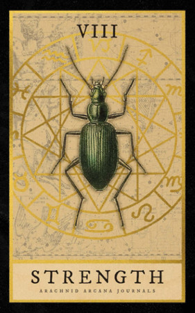 Cover of Strength: Tarot Card Inspired College Ruled Notebook for Notes and Journaling (The Arachnid Arcana Journal Series)