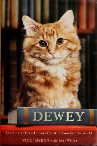 Cover of Dewey