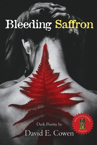 Cover of Bleeding Saffron
