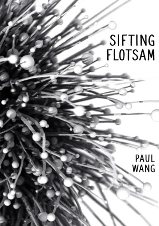 Cover of Sifting Flotsam