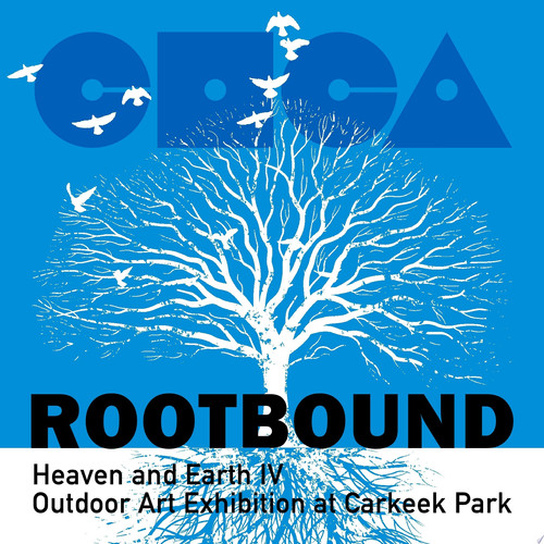 Cover of Rootbound