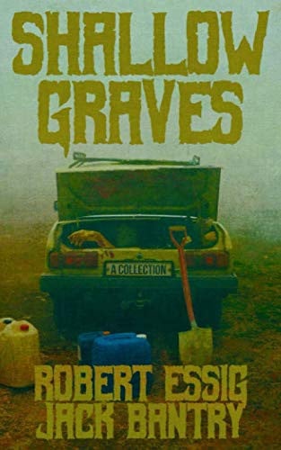 Cover of Shallow Graves